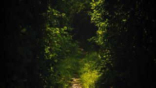 Solutions for R4DS, 2e with Data Trail