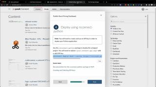 Deploying a Python application with Posit Connect