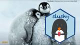 {slushy}: A Bridge to the Future - posit::conf(2023)